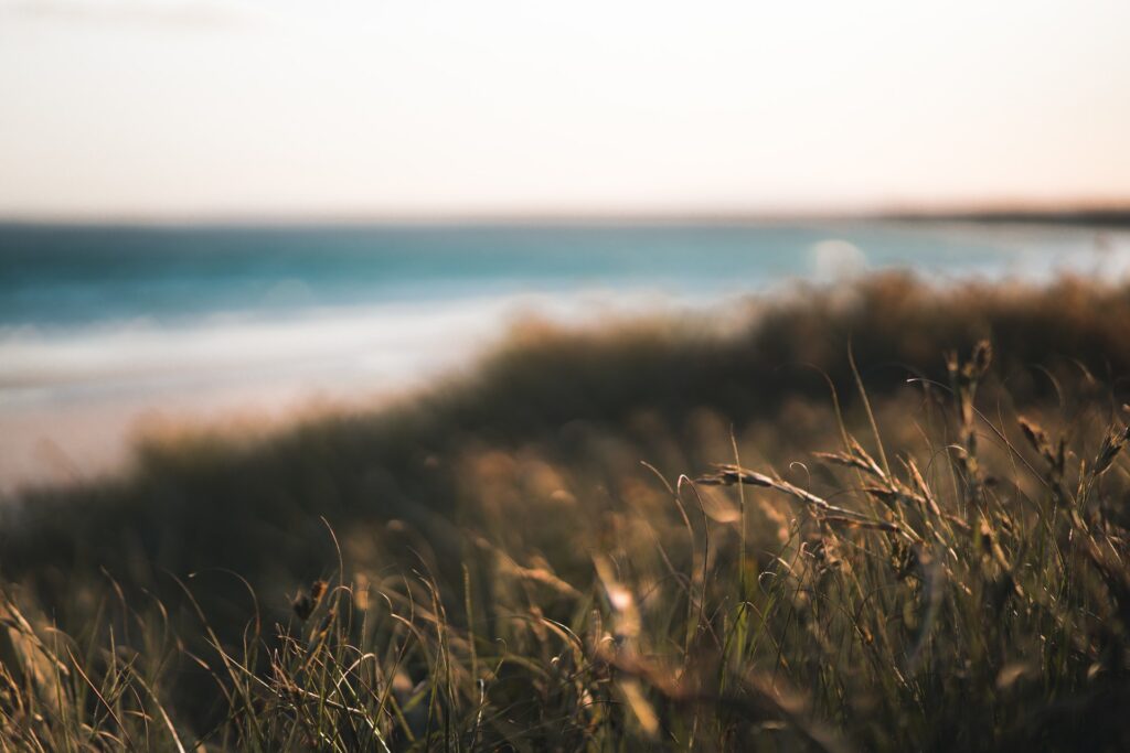 Balancing the Five Elements