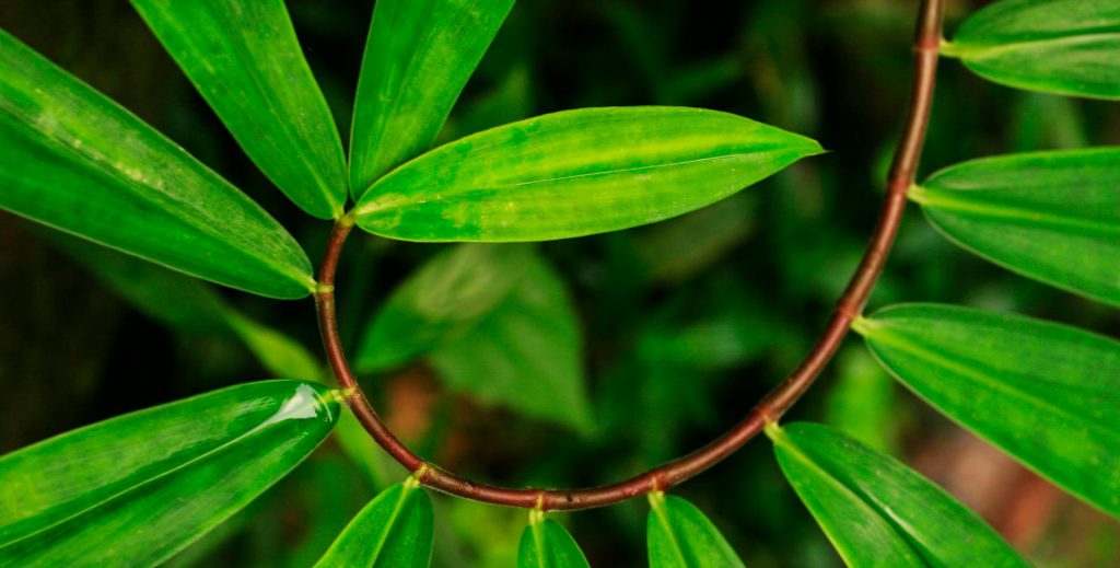 A logical mind can serve us in some situations and yet it is limited. Too often, sciences have been trapped in logic creating statements that were revealed later on to be erroneous.