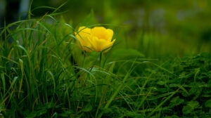 Freedom is not a destination; it is a practice. At the core of that practice lies unconditional love for ourselves.